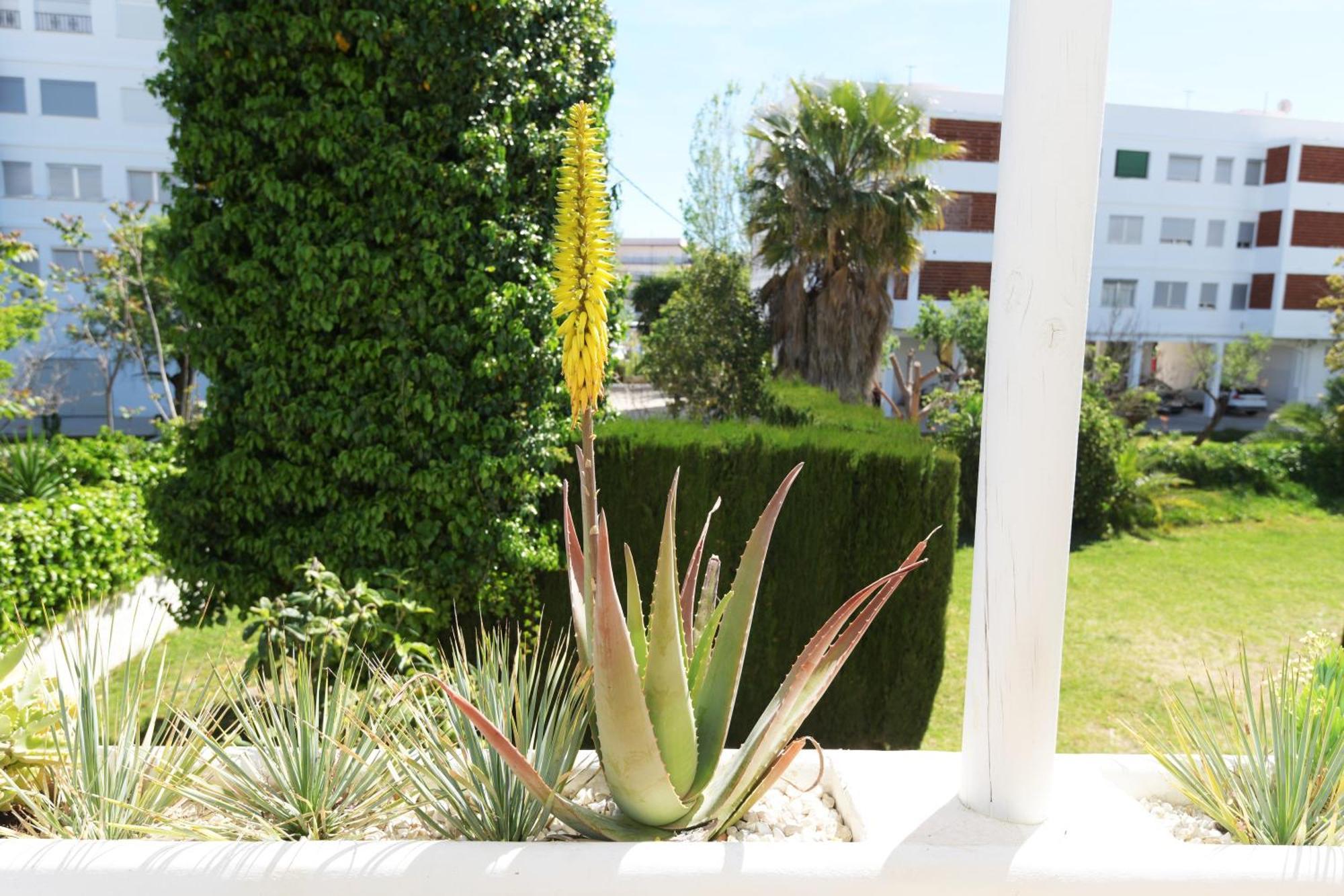 Stories Javea - Cosy Boho Apartment El Arenal - Toplocation - 250M From The Beach! מראה חיצוני תמונה